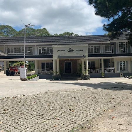 Tambi Tea Resort Kejajar Ngoại thất bức ảnh
